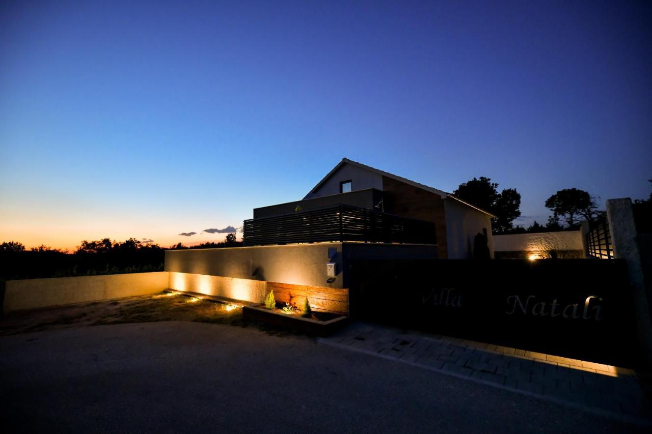 Luxurious Villa Natali Pridraga Exterior photo